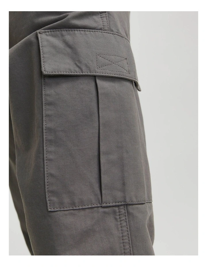 Kane Barkley Cargo Pant in Castlerock image 6