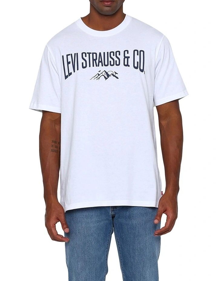Relaxed Fit Short-Sleeve Graphic T-shirt in Mountain Scenic White image 1
