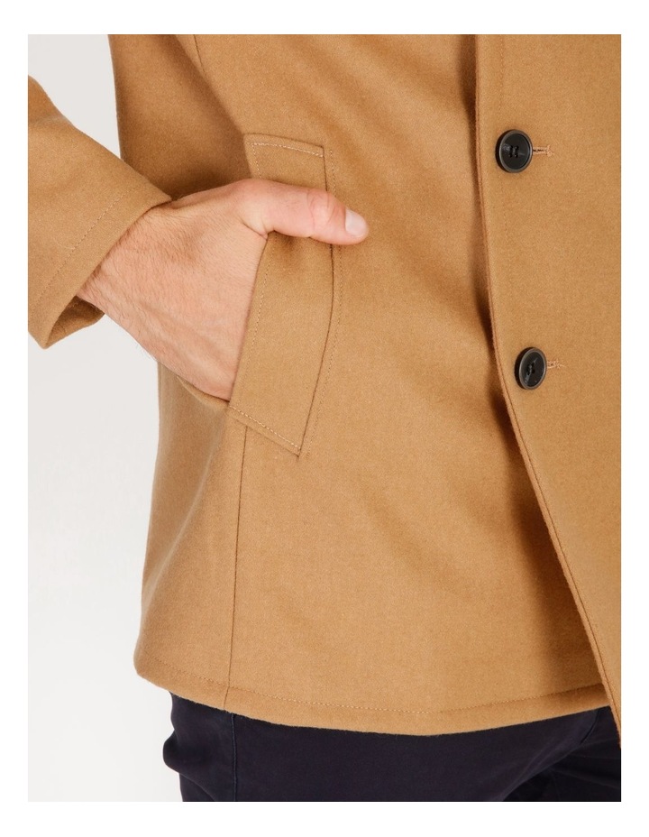 outdoor plants no maintenance