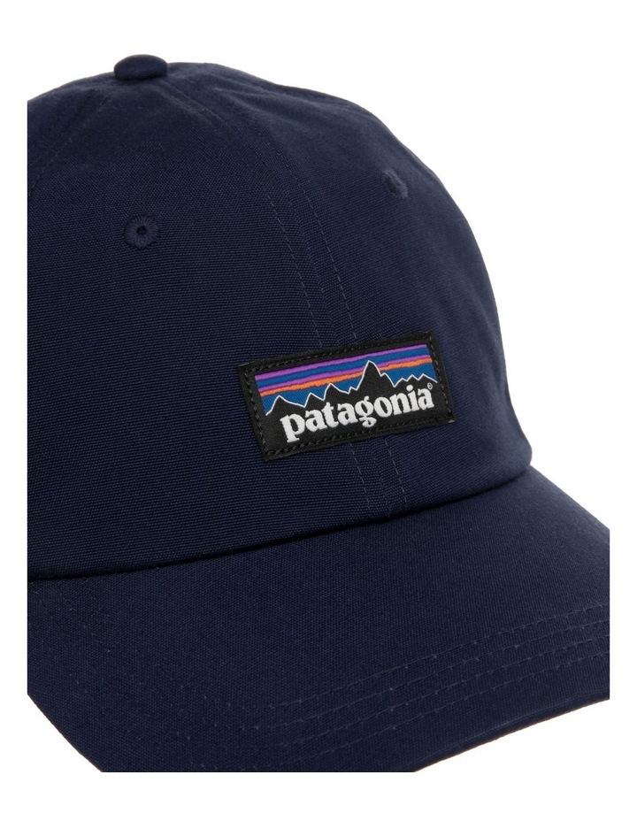 patagonia cap 4
