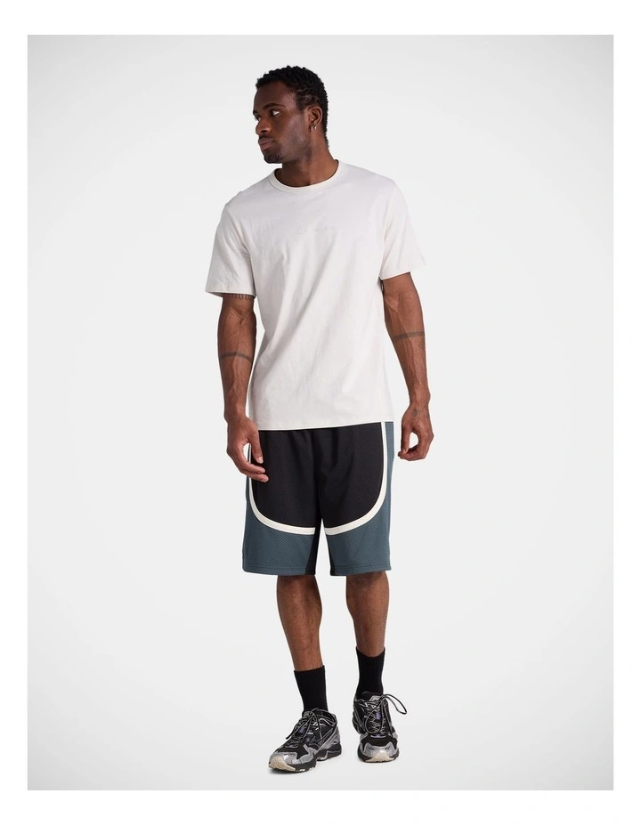 Mesh Basketball Shorts Black image 4
