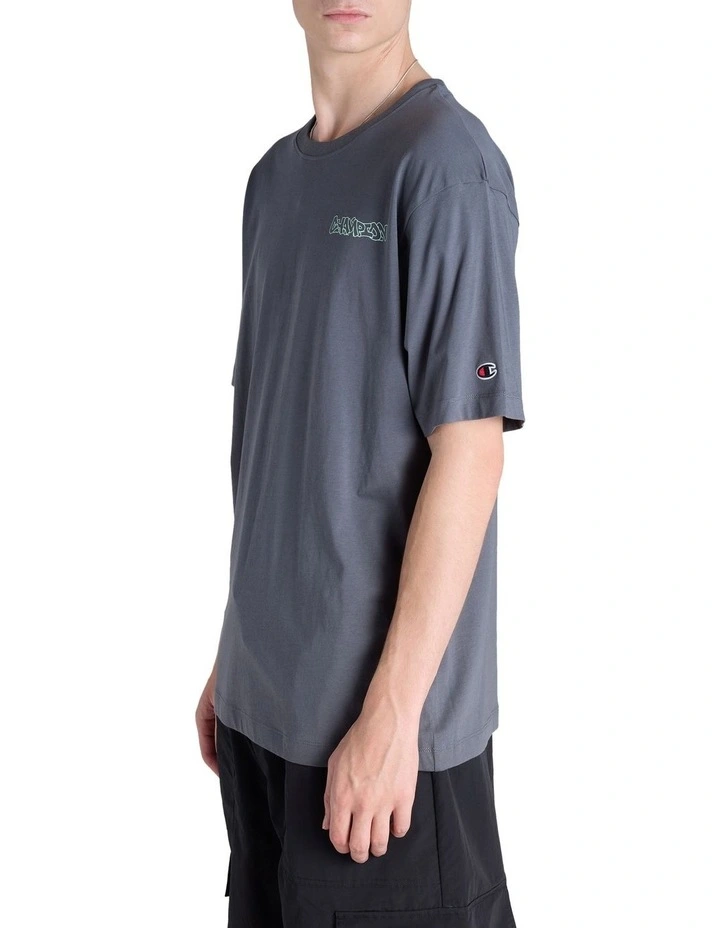 Endless Summer Graphic Print Tee in Grey image 3
