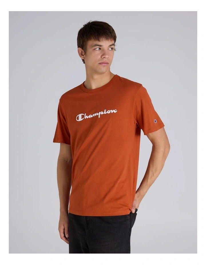 Puff Script Tee Brick Burn image 2