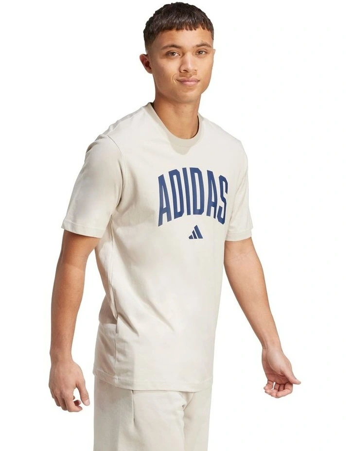 Collegiate Lineage Graphic T-shirt in Beige image 3