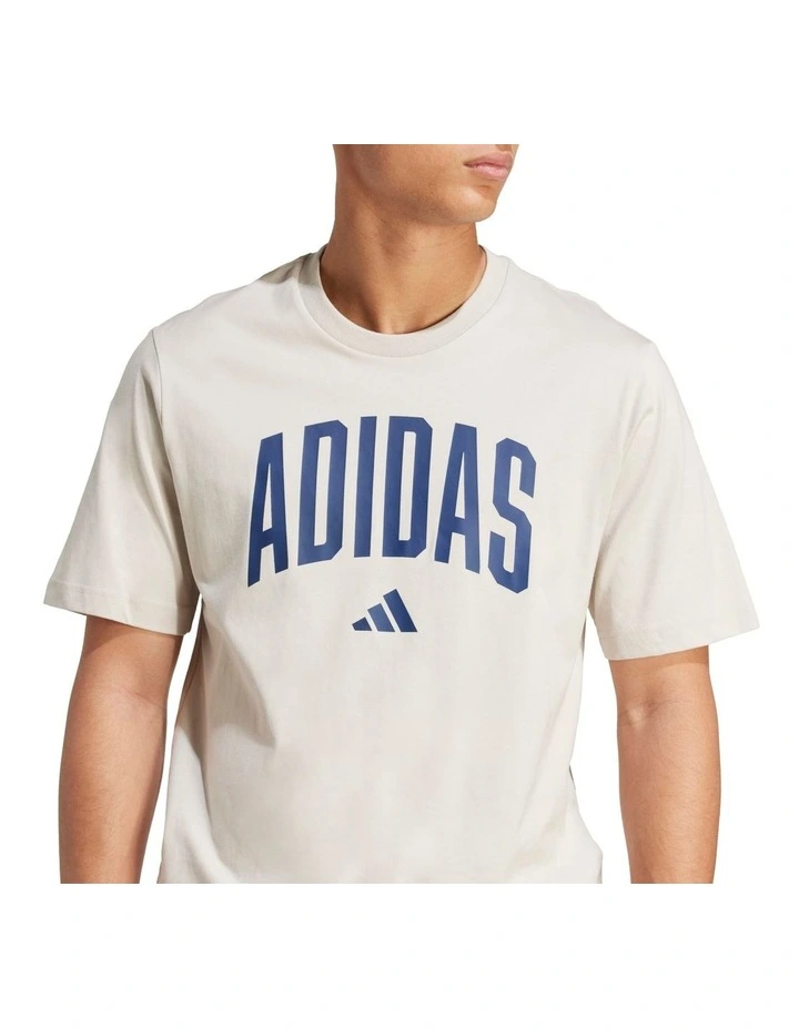 Collegiate Lineage Graphic T-shirt in Beige image 4