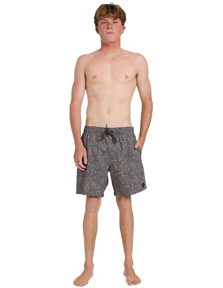 Atlas Elastic 17 Boardshorts in Brown image 5