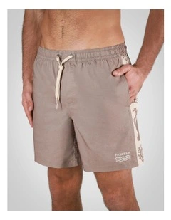 Spiced Mocha Shorts in Light Brown