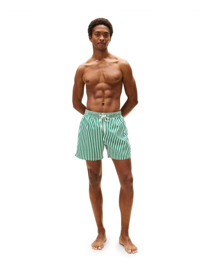 Medium Drawstring Print Shorts in Green image 4