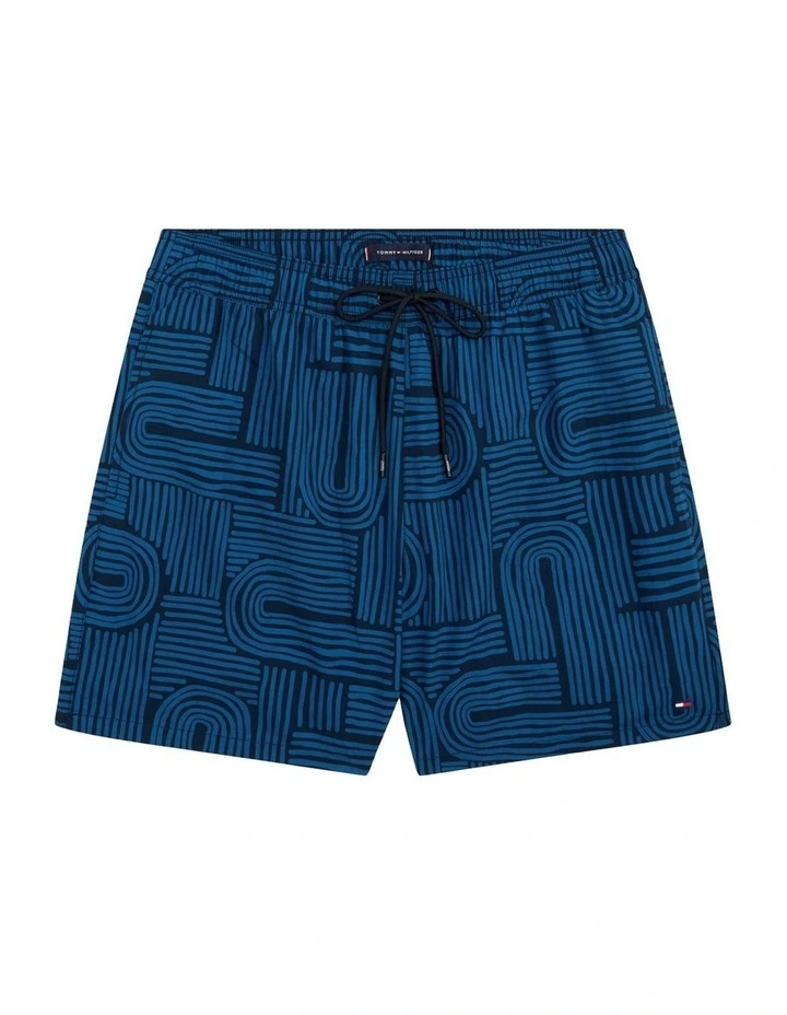 Print Mid Length Swim Trunks in Blue image 5