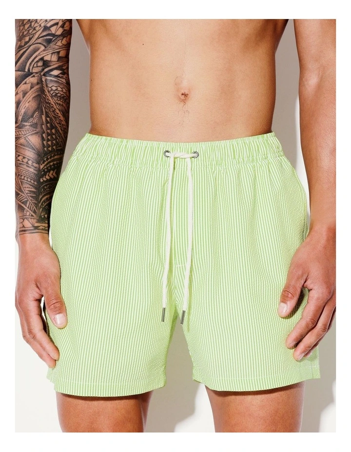 Summer Seersucker Stripe Swim Short in Lime image 4