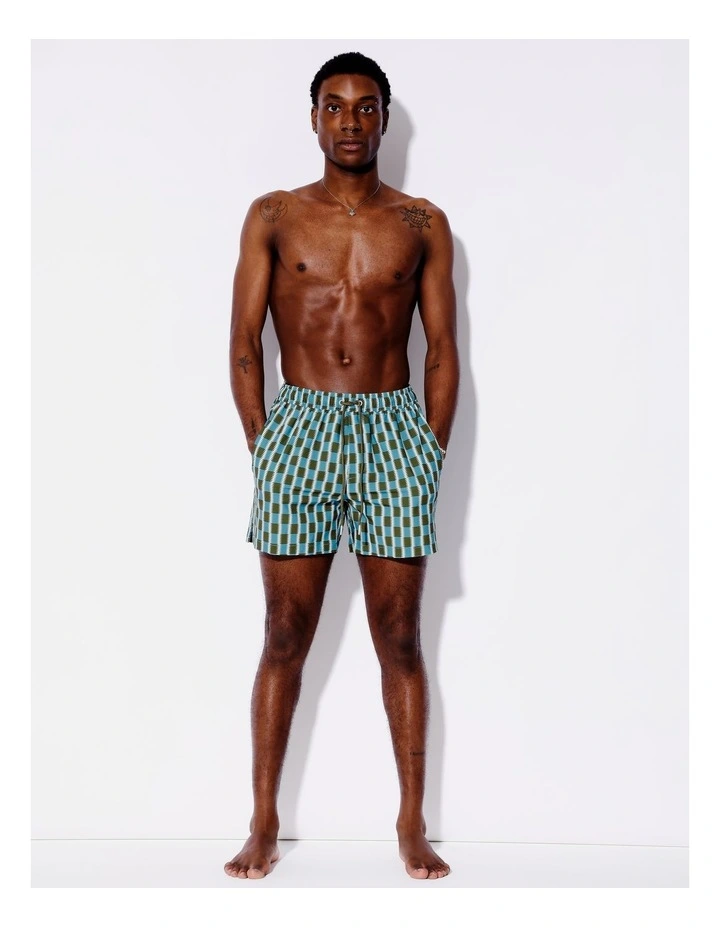 Eden Check Swim Shorts in Multi image 5