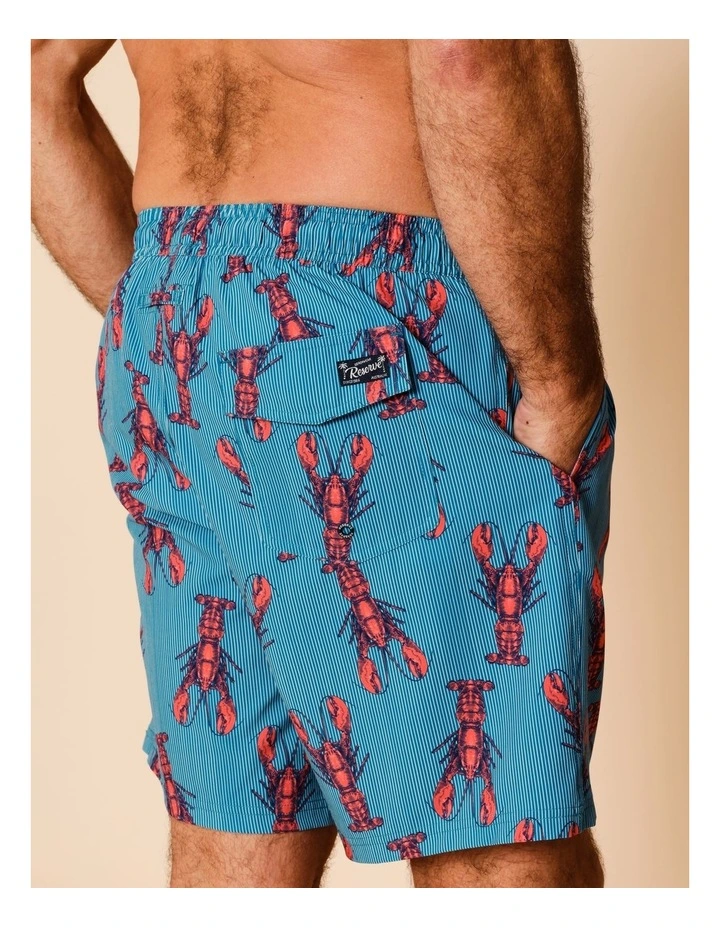 Lobster Stripe Swim Shorts in Blue image 5