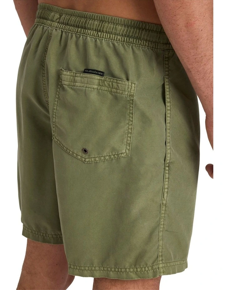 Everyday Surfwash 17Nb Volley Shorts in Green image 4