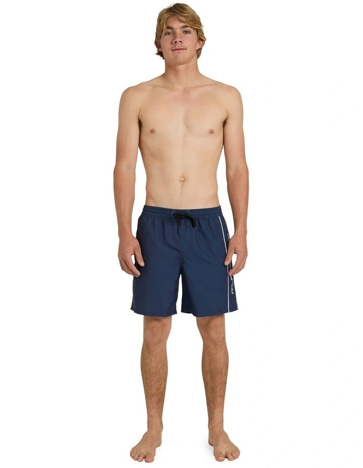 Everyday Vert 2.0 17 Inch Volley Shorts in Mood Indigo image 5