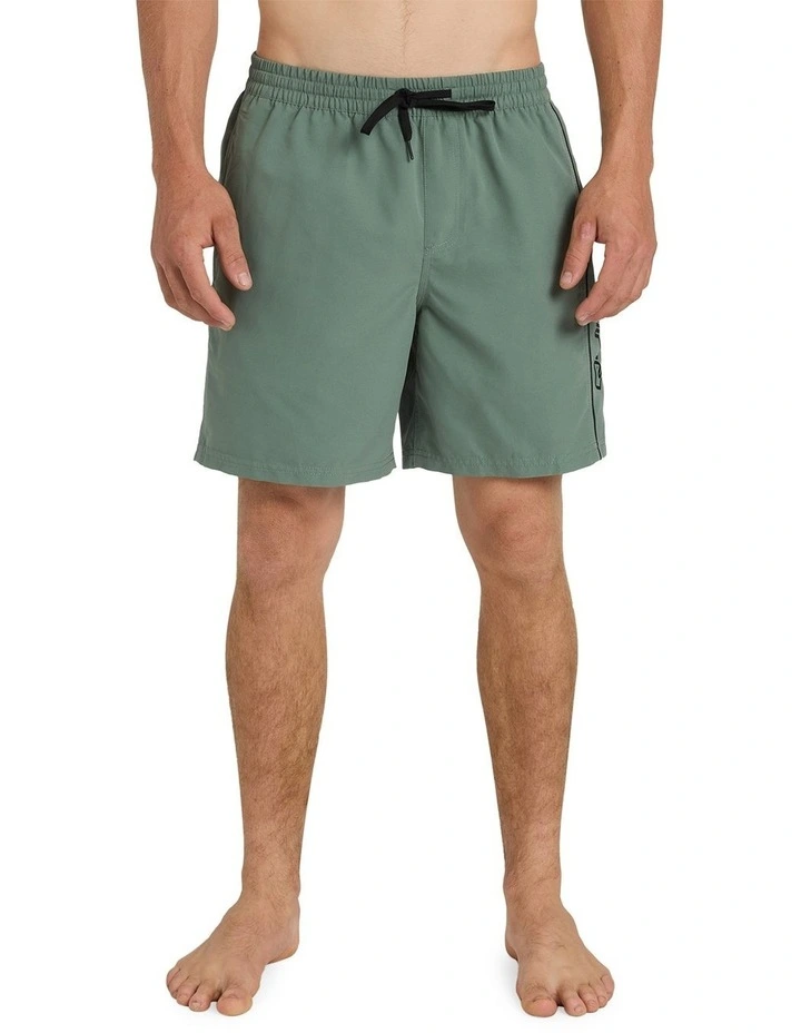 Everyday Vert 2.0 17 Inch Volley Shorts image 1