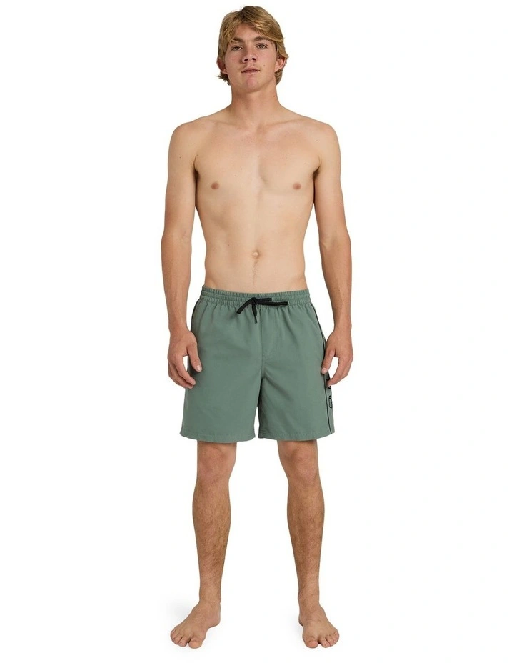 Everyday Vert 2.0 17 Inch Volley Shorts image 5