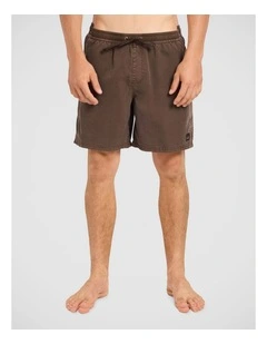 Everyday Surfwash 17 Inch Volley Shorts