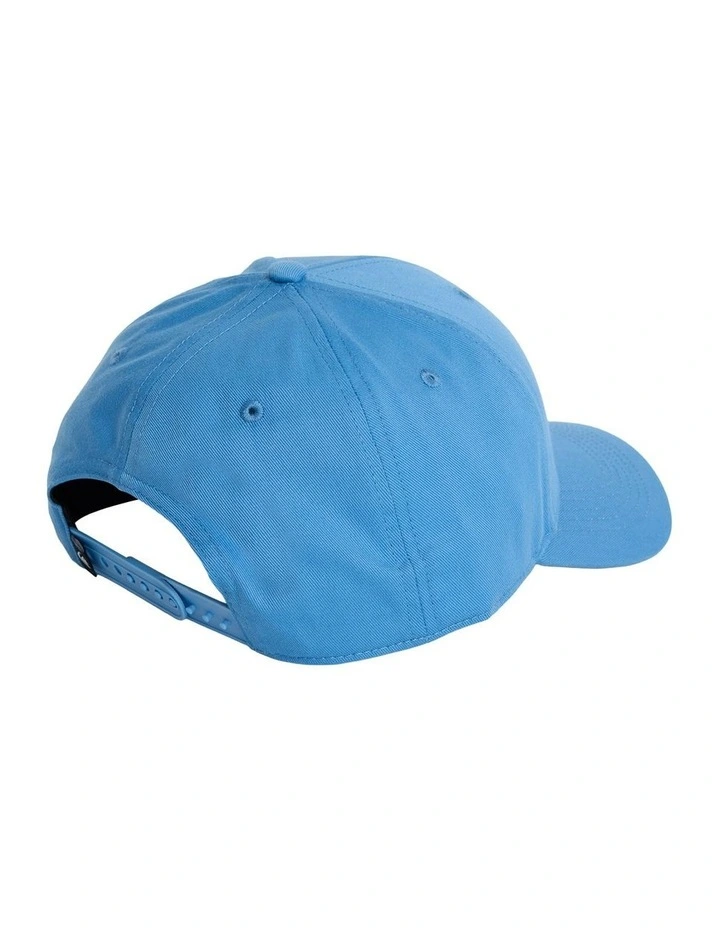 Decades Cap in Quiet Harbor image 2