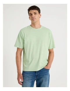 Garment Dye Boxy Crew Neck T-Shirt in Sage