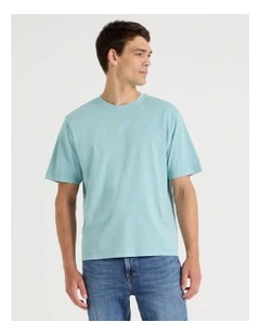 Garment Dye Boxy Crew Neck T-Shirt in Dusty Blue