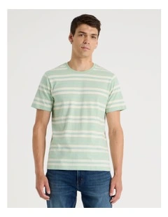 Crew Neck Stripe T-Shirt in Sage