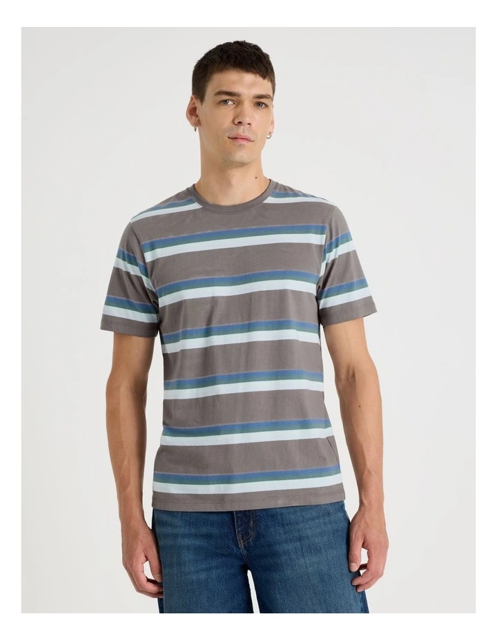 Crew Neck Stripe T-Shirt in Stone image 2