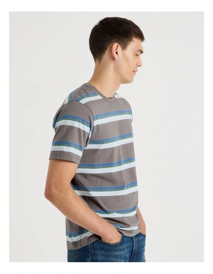 Crew Neck Stripe T-Shirt in Stone image 3
