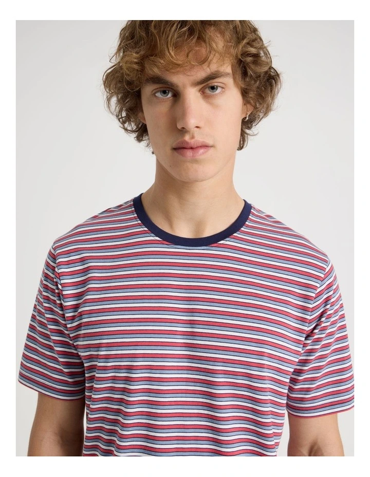 Regular Fit Crew Neck Stripe T-Shirt in White image 2