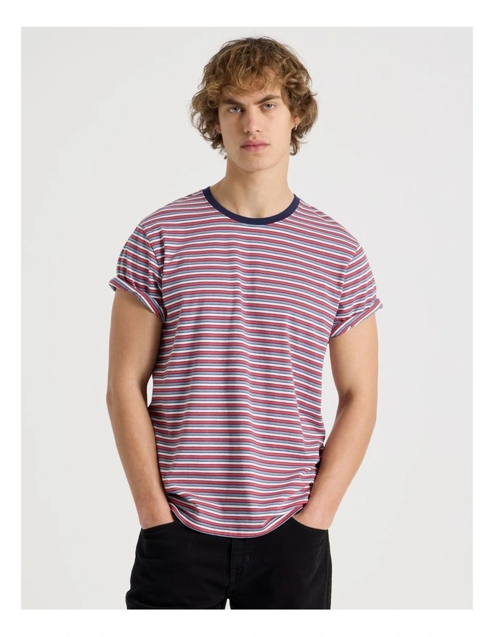 Regular Fit Crew Neck Stripe T-Shirt in White image 4