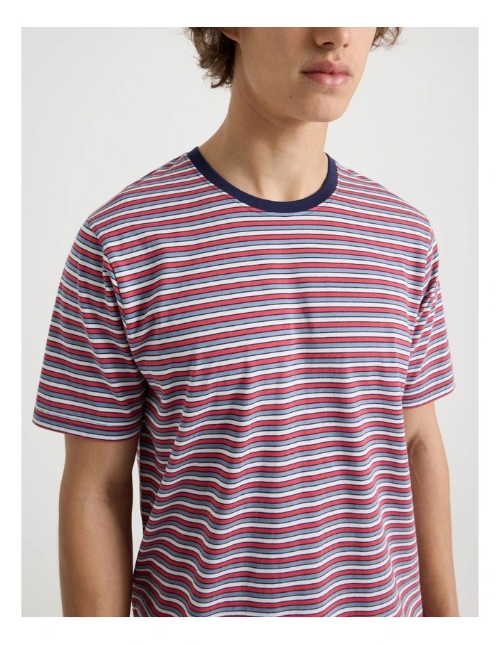 Regular Fit Crew Neck Stripe T-Shirt in White image 7