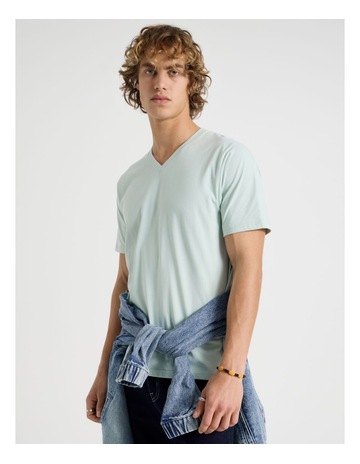 Mint colour