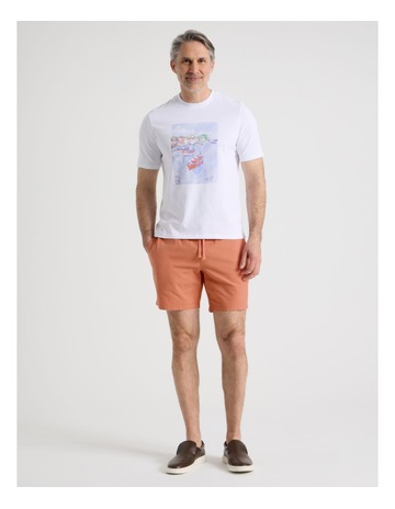 Coral colour