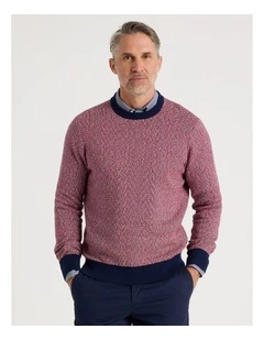 Tricolour Textured Crew Neck Knit in Red