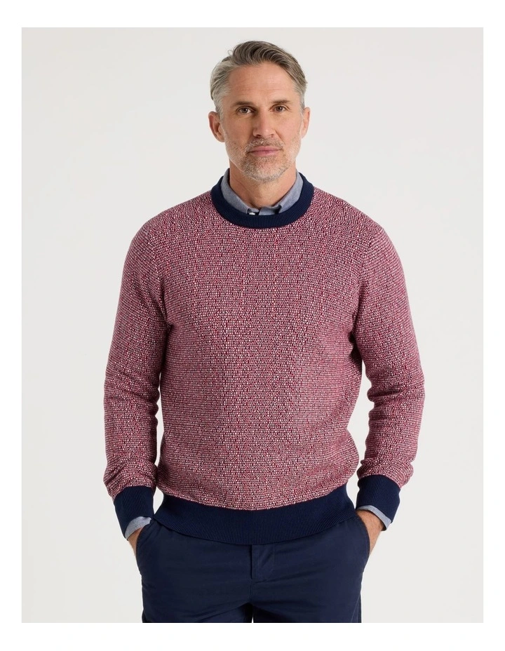 Tricolour Textured Crew Neck Knit in Red image 1