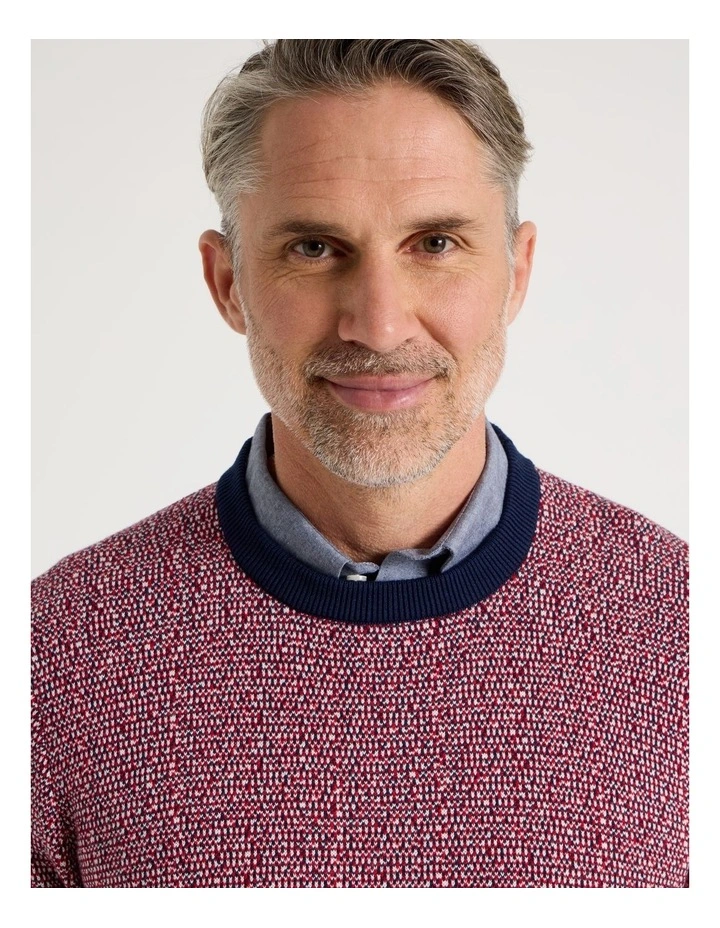 Tricolour Textured Crew Neck Knit in Red image 4