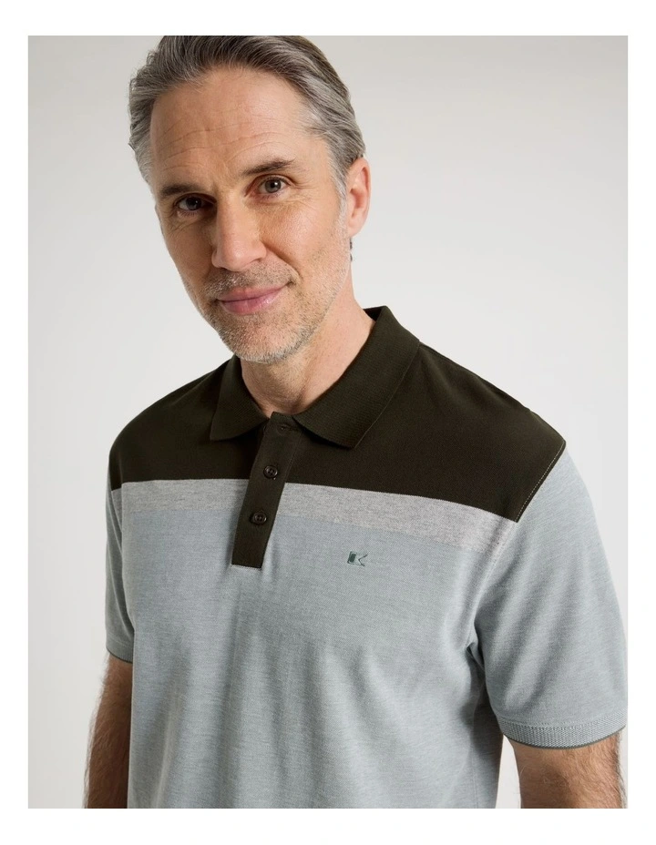 Birdseye Chest Stripe Polo in Sage image 1