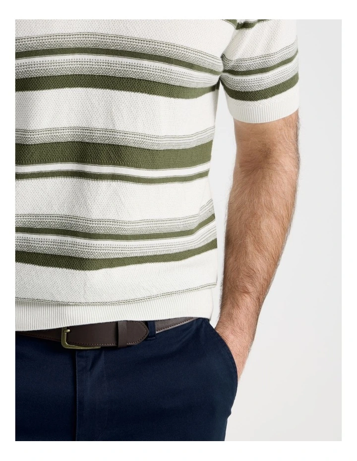 Open Collar Stripe Knit Polo in Sage image 4
