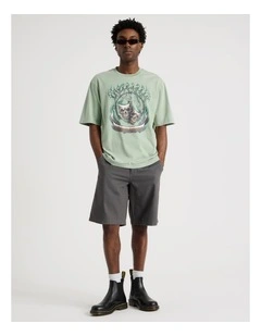 Chino Shorts in Grey