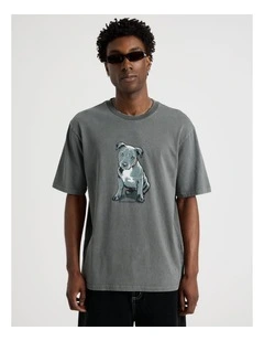 Short Sleeve Tee in Petrol Staffy Print