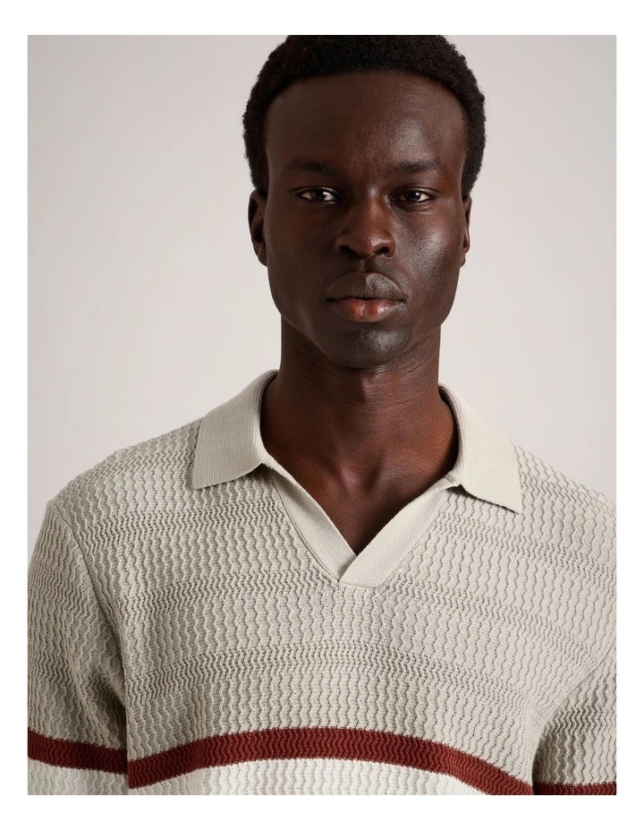 Alex Engineered Stripe Knit Polo in Rust image 4