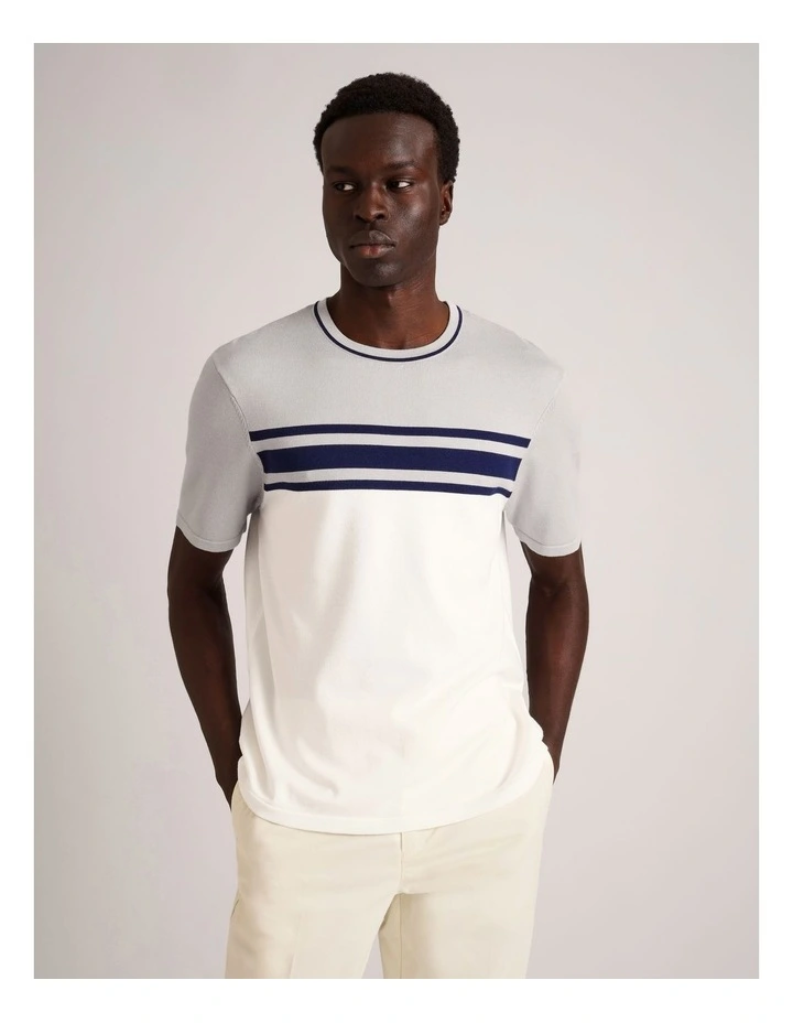 Luis Knit Panel Stripe Short Sleeve T-Shirt in Grey image 3
