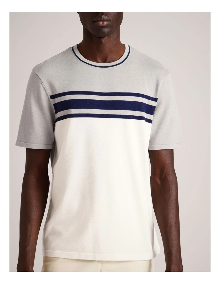 Luis Knit Panel Stripe Short Sleeve T-Shirt in Grey image 5