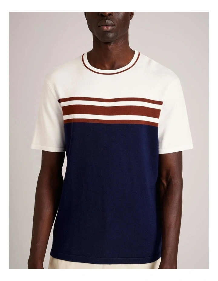 Luis Knit Panel Stripe Short Sleeve T-Shirt in Navy image 5