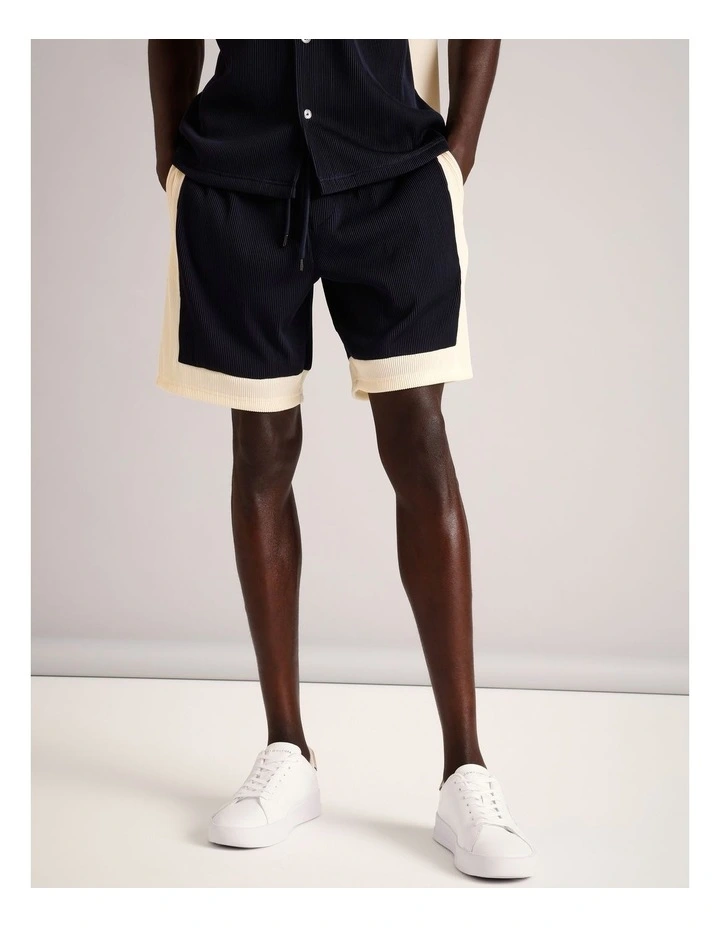 Ross Textured Stripe Short in Navy image 2