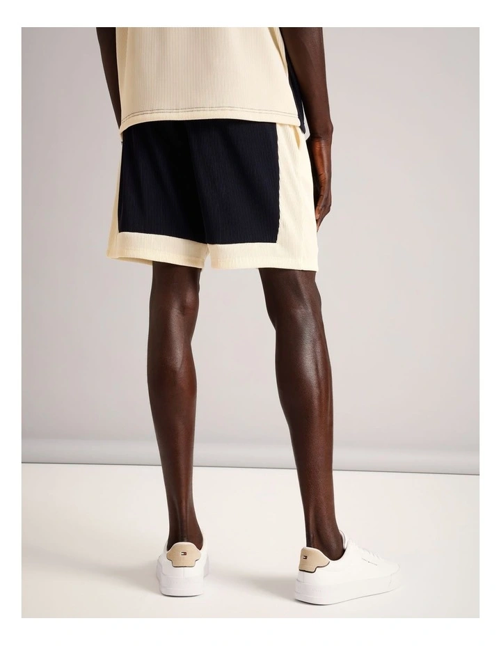 Ross Textured Stripe Short in Navy image 5