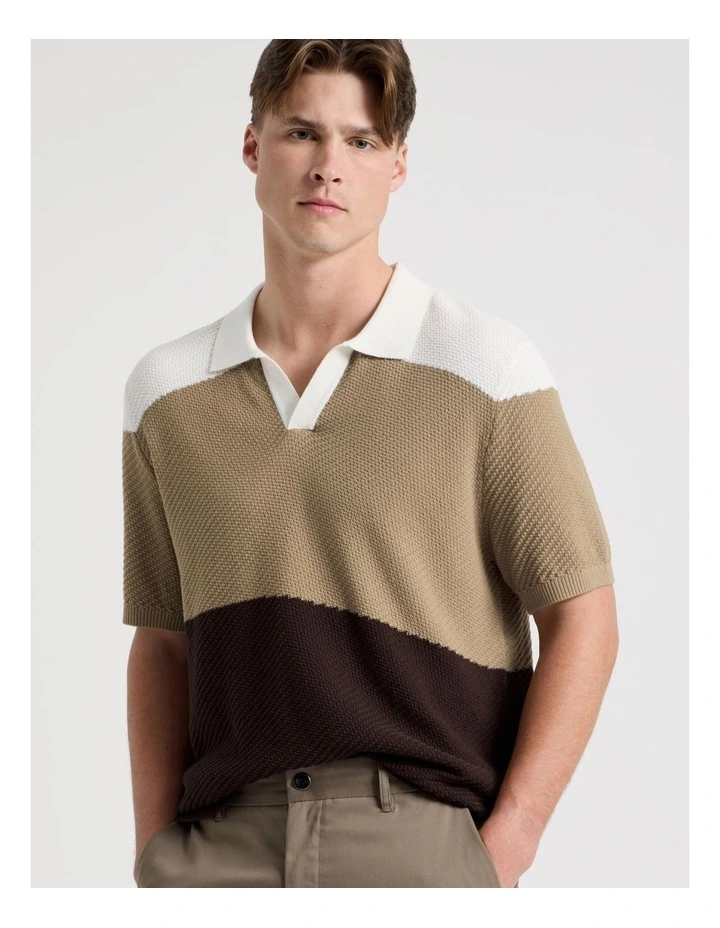 Textured Colourblock Knit Polo in Sand image 1