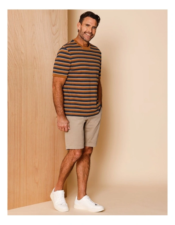 Silas Stripe Pique Textured T-Shirt in Rust image 2