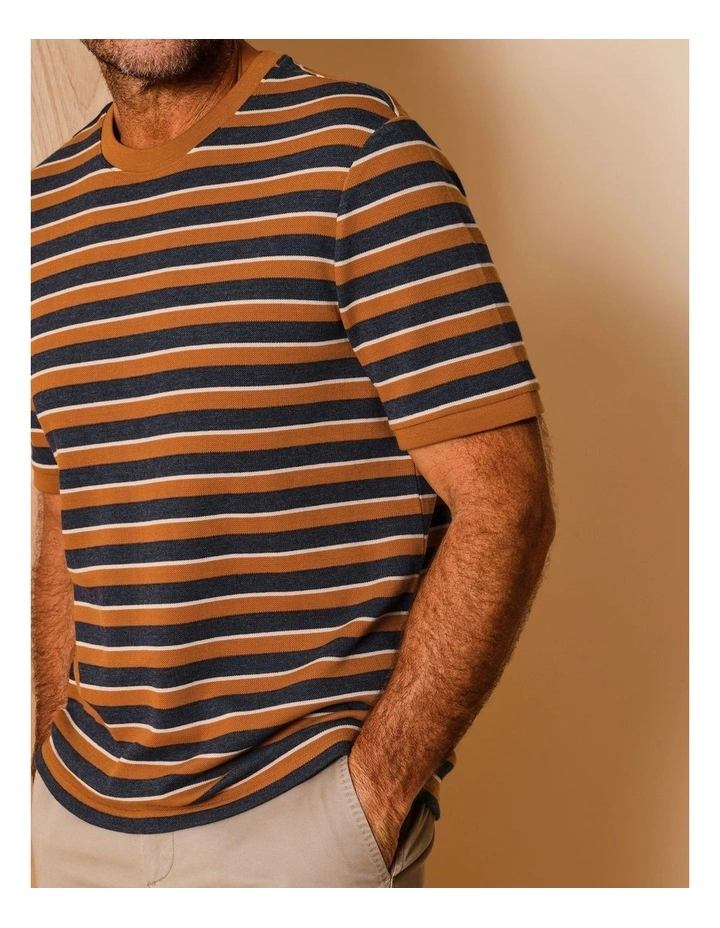 Silas Stripe Pique Textured T-Shirt in Rust image 3