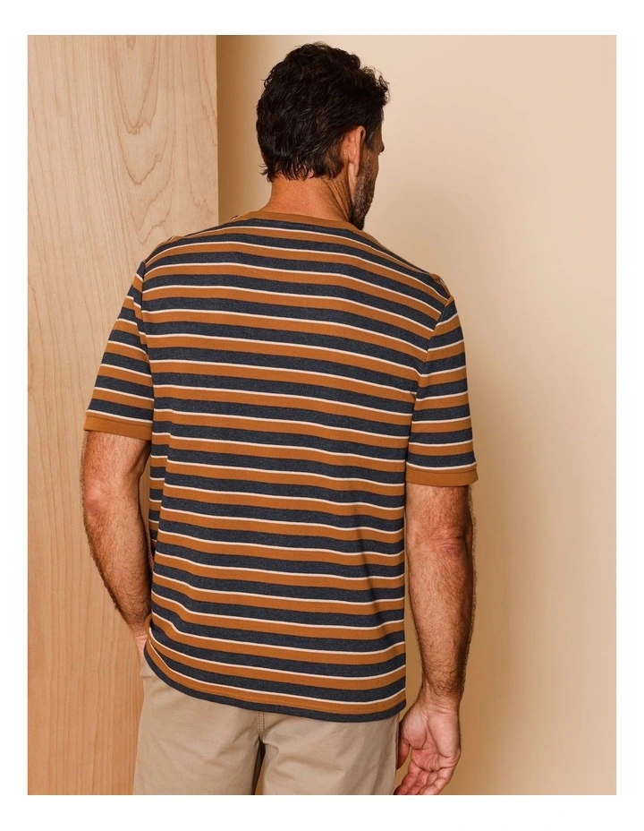 Silas Stripe Pique Textured T-Shirt in Rust image 5