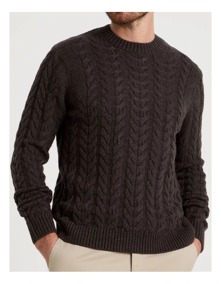 Crew Neck Cable Knit in Brown image 7